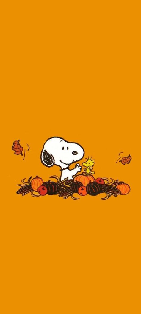 Snoopy Autumn Fall Leaves, Fall Peanuts Aesthetic, Peanuts Autumn Wallpaper, Thanksgiving Aesthetic Background, Cute Autumn Wallpaper Aesthetic, September Snoopy Wallpaper, Simple Halloween Phone Wallpaper, Snoppy Cute Wallpaper Fall, Charlie Brown Thanksgiving Wallpaper Iphone