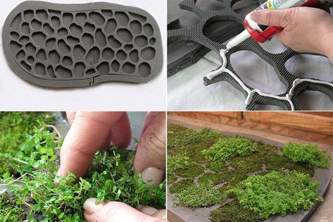 Bath & Shower Plants - How to Join The Trend • The Garden Glove Houseplant Wall, Farmhouse Gothic, Moss Bath Mat, Shower Plants, Moss Mat, Lavatory Design, Small Toilet, Moss Art, Bathroom Plants