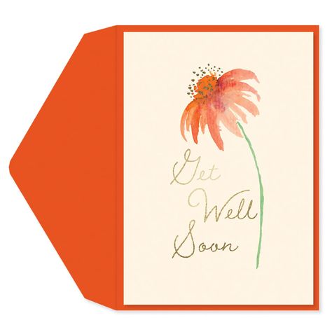 PRICES MAY VARY. UPLIFTING THOUGHTS Extend your sincere get well wishes to someone special in need of a hug. A card featuring a watercolor flower accented with gold foil is perfect for wishing them a speedy recovery. Inside greeting: Hope you feel better soon. PREMIUM STYLE This designer card is printed on premium quality paper stock with a matte finish, so the ink from your handwritten note doesn’t smudge. SPACE TO PERSONALIZE Even with the printed inside greeting, this get well card has plenty Watercolor Get Well Cards, Recovery Cards, Get Well Messages, Feel Better Soon, Painted Cards, Watercolor Holiday, Watercolour Cards, Healing Thoughts, Get Well Soon Card