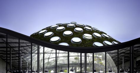 Living Green Roof, California Academy Of Sciences, Under The Dome, Living Roofs, Radiant Floor Heating, Renzo Piano, Photography Competitions, Architectural Features, Green Roof