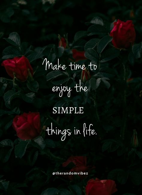 Take Time To Enjoy Life Quotes, Simple Happy Life Quotes, Today's Lesson Quotes, Be Simple Quotes, Happy Qouts In Life, True Words Quotes Life Lessons, Simple Life Quotes Happiness, Simple Things In Life Quotes, Simple Qouts