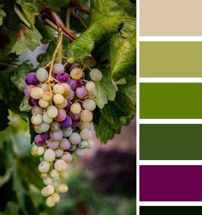 Wedding Color Pallet, Grape Color, Purple Color Palettes, Color Palette Challenge, Color Schemes Colour Palettes, Green Palette, Paint Color Palettes, Green Colour Palette, Design Seeds