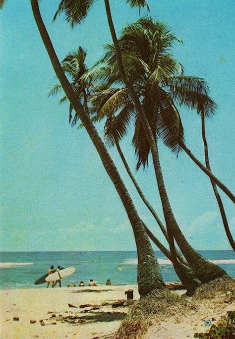 Vintage Beach Postcard, Vintage Tropical Aesthetic, Vintage Postcards Travel, Vintage Tropical, Vintage Surf, Bossa Nova, Vintage Beach, Beach Aesthetic, Vintage Summer