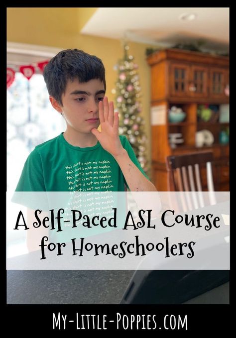 Does your child want to learn ASL? Check THIS out! | My Little Poppies Classroom Sign Language, Asl Songs, Silent Language, Asl Lessons, Homeschool High School Curriculum, Learn Asl, Sign Language For Kids, Sat Math, Asl Learning