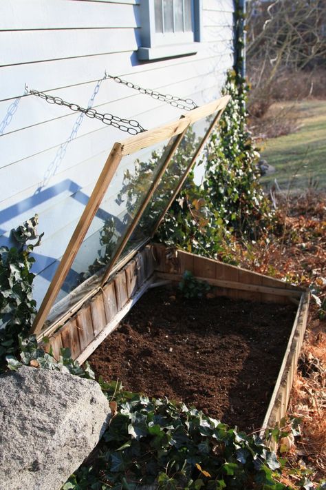 revive your cold frame with herbs | gardenista Cold Frame Diy, Cold Frame Gardening, Black Plants, Kitchen Gardens, Plants Growing, Weekend House, Garden Greenhouse, Cold Frame, Garden Boxes