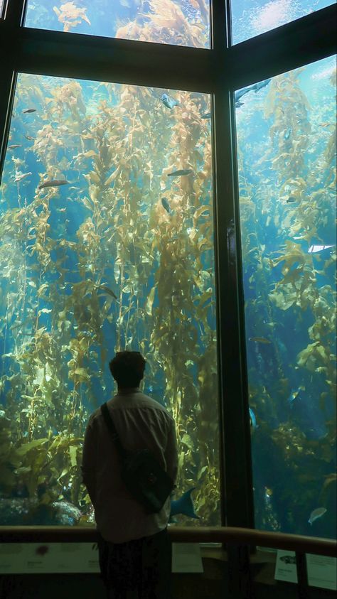 aquarium photoshoot (men) : silhouette photoshoot : shot on g7x : monterey bay aquarium Aquarium Pose Ideas, Aquarium Photo Ideas, Aquarium Instagram Pictures, Aquarium Fits, Aquarium Poses, Fish Photoshoot, Aquarium Selfie, Aquarium Photoshoot, Silhouette Photoshoot