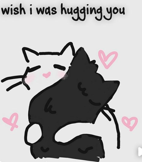 Cuddle Reaction Pic, Hug Reaction Pic, Cute Couple Doodles, Silly Cats Pictures, I Love My Girlfriend, Cute Messages, Love My Boyfriend, Cute Memes, Wholesome Memes