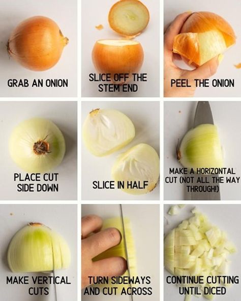 Madeline | Mad About Food on Instagram: “HOW TO DICE AN ONION: This is my method for properly dicing an onion. Adjust the size of your cuts to adjust the size of the dice.⁣ I know…” Culinary Basics, Cooking For Dummies, Kitchy Kitchen, Basic Knife, How To Cut Onions, Knife Skills, Culinary Cooking, Culinary Techniques, Knife Skill