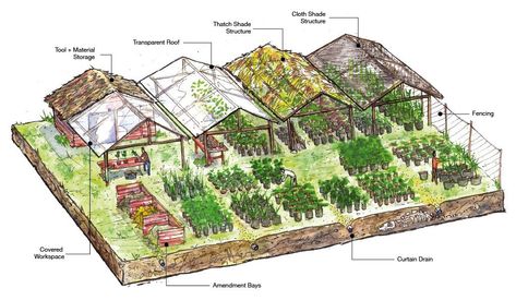 Plant Nursery Design, Homestead Layout, Permaculture Design Course, Nursery Layout, Nursery Planning, Farm Plans, Tropical Nursery, Farm Layout, Small Nurseries