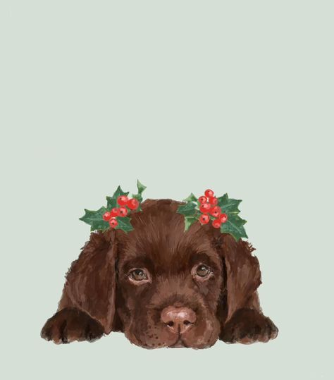 Christmas wishes and puppy kisses ✨✨✨ . . . . . : . #dogsofinstagram #petportraitartist #labrador #labradorretriever #labradors #labradorpuppies #labradorpuppiesofinstagram #petsofinstagram #pet #doglover #dogsofinstagram #christmascard #christmasdecor #artoftheday Labrador Puppy Christmas, Puppy Christmas Card, Chocolate Labrador Puppy, Labrador Puppy Chocolate, Learn Watercolor Painting, Dog Christmas Card, Puppy Kisses, Pet Portrait Painting, Pets Drawing