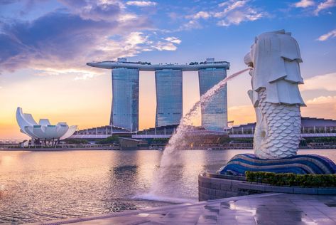 Singapore Facts: Know Before You Go Singapore Tour, Visit Singapore, Asia Tenggara, Free City, Parc D'attraction, Singapore Travel, Shiga, British Airways, Inclusive Resorts