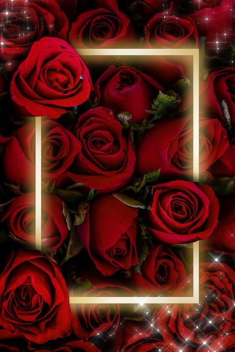 Flower Frame Design Beautiful, Rose Frame Background, Red Rose Background, Light Background Design, Red Roses Background, Rose Wallpapers, Neon Frame, Clip Art Frames Borders, Background Glitter