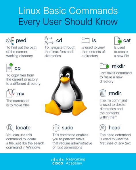 Cisco Networking Academy on LinkedIn: #linux | 40 comments Cisco Networking Technology, Best Hacking Tools, Linux Commands, Osi Model, Basic Computer Programming, Cisco Networking, Programing Knowledge, Linux Operating System, Learn Computer Coding