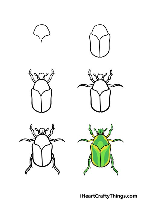 Insects Drawing Easy, Bug Drawing Tutorial, Insect Doodles Easy, June Bug Drawing, Bug Drawing Cute, Easy Bug Drawing, Bug Drawing Insects, Insect Drawing Simple, Bugs Drawing Sketches