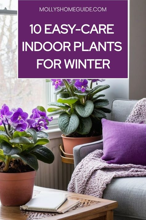 Discover the best indoor plants for winter to brighten up your space and purify the air. Care for your indoor plants during winter by bringing them indoors. Explore hard-to-kill indoor potted plants like aloe vera, perfect for low-maintenance plant care. Enjoy flowering houseplants that bloom beautifully even in the coldest months. Consider evergreen indoor plants for a touch of nature during winter while helping with allergies too. Create a cozy green oasis inside with these top picks! Flowering Indoor Houseplants, Kalanchoe Flowers, Indoor Potted Plants, Sell House, Air Purifying House Plants, Green Oasis, Living Room Plants, Indoor Plant Care, Winter Plants