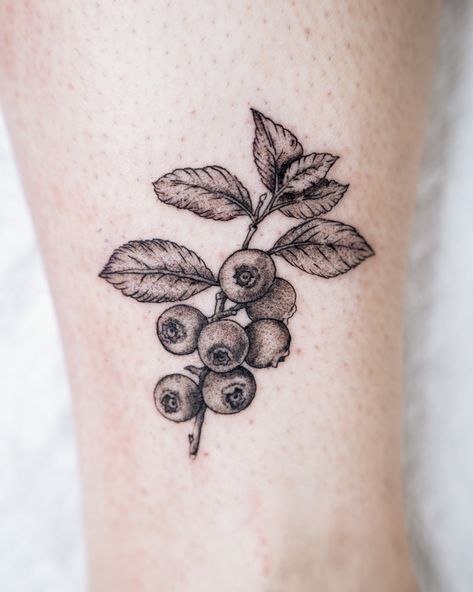 THIS TATTOO LOOKS BERRY NICE 🫐  TATTED BY @fragile_tattoo  Soho, Union Square, and Williamsburg  11AM-9PM 7 DAYS A/W🕘 WALK-INZ OR BOOK ONLINE..📕 TATTOOS & PIERCINGS, NO ATTITUDE, NO MISERABLE HOOPS TO JUMP THROUGH....🚫  WALK-INZ WELCOME OR BOOK ONLINE AT  ⚔️livebytheswordtattoo.com⚔️ . . . . #blueberry #tattoo #tattooartist #tattooinspo #nyctattooshop #unionsquare Huckleberry Branch Tattoo, Bilberry Tattoo, Saskatoon Berry Tattoo, Blueberries For Sal Tattoo, Wild Blackberry Tattoo, Blueberry Tattoo Black And White, Canning Tattoo, Wild Blueberry Tattoo, Blueberry Plant Tattoo