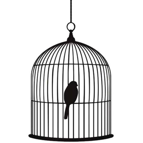 Bird Sleeping, Bird Painting Diy, Bird Cage Design, Tiny Bird Tattoos, Phoenix Bird Tattoos, Bird In A Cage, Cage Tattoos, Small Bird Tattoo, Canary Birds