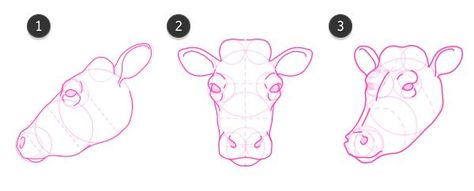 Draw Pattern – How to draw cow head 8                                                          … How To Draw Cow, Draw Cow, Draw A Cow, Cow Sketch, How To Draw Animals, Cow Drawing, Draw Animals, Cow Face, Cow Head