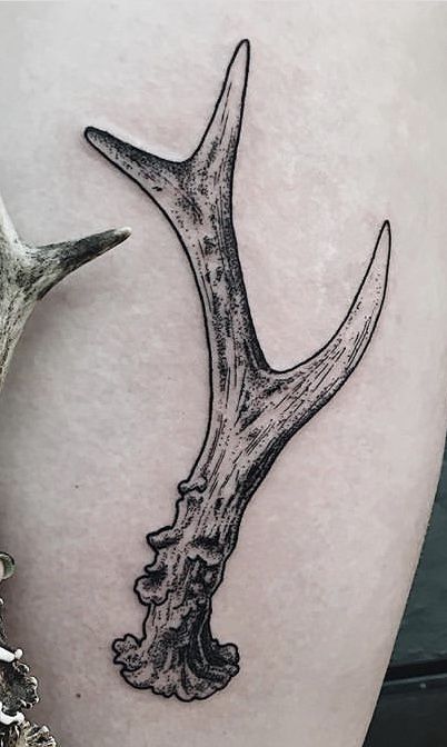 Deer Horn Drawing, White Tail Deer Antler Tattoo, Deer Antler Knee Tattoo, Antler Rib Tattoo, Elk Antler Tattoo Men, Antler Knee Tattoo, Coyote Skull Tattoo, Antler Tattoo Design, Antler Tattoo Men