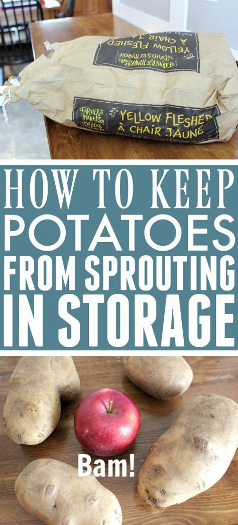 Survival Homestead, Fermenting Foods, Survival Food Storage, Potato Storage, Homestead Kitchen, Kitchen Tricks, Clean Mama, Storing Vegetables, How To Store Potatoes