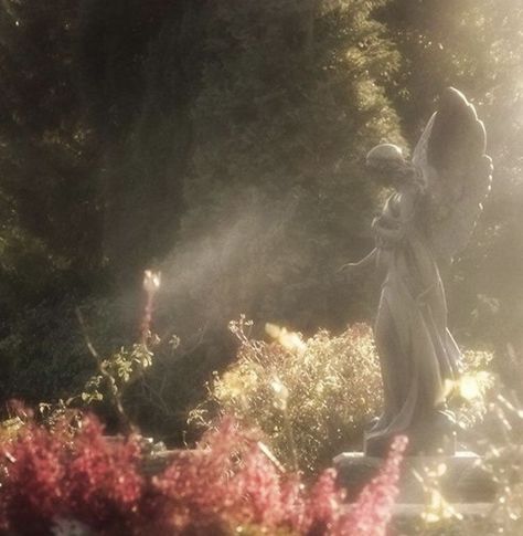 Faerie Aesthetic, Angel Statue, Fairy Aesthetic, Angel Aesthetic, Aesthetic Flowers, Magic Aesthetic, Fantasy Aesthetic, Ethereal Art, Foto Pose