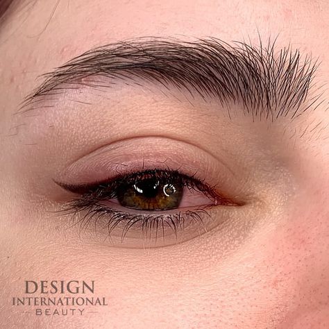 Permanent Upper Eyeliner, Permanent Brown Eyeliner, Permanent Winged Eyeliner, Natural Eyeliner Tattoo, Winged Eyeliner Tattoo, Permanent Eyeliner Styles, Tatoo Eyeliner, Eyeliner Tattoo Permanent, Eyeliner Basic