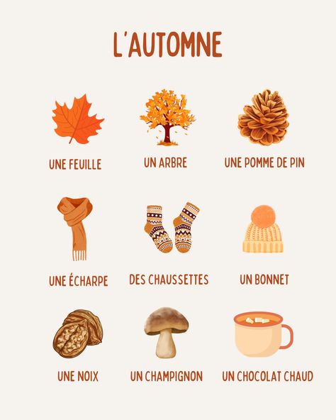 Spanish Language Basics, French Preschool Activities, French Mushroom, Autumn Words, French Autumn, French Study, French Basics, French Flashcards, Basic French Words