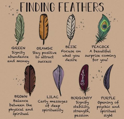 Weather Magick, Feather Color Meaning, Mythology Creatures, Finding Feathers, Feather Meaning, Witch Things, Animal Spirit Guides, Wiccan Magic, Witch Stuff