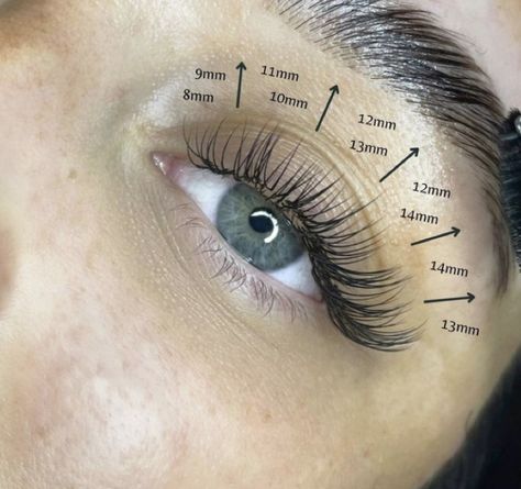 Eyelash Extensions Classic, Lash Map, Natural Fake Eyelashes, Lash Mapping, Lash Extentions, Maquillage On Fleek, Lashes Fake Eyelashes, Eyelash Technician, Cat Eye Lash