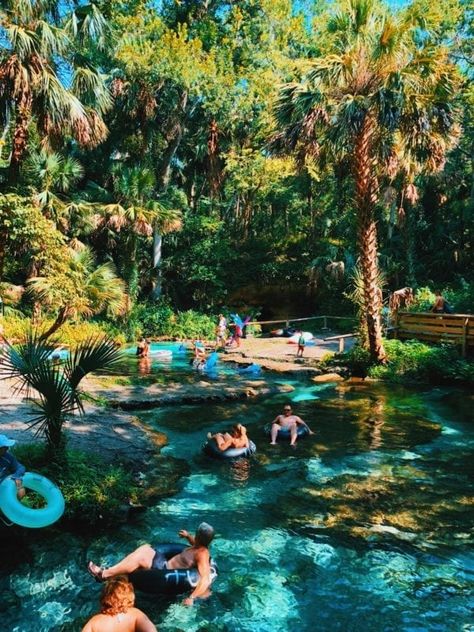 Kelly Park Florida, Website Poster, Kelly Park, Usa Photography, Wallpaper Inspirational, Travel Honeymoon, Honeymoon Trip, Florida Adventures, Florida Springs