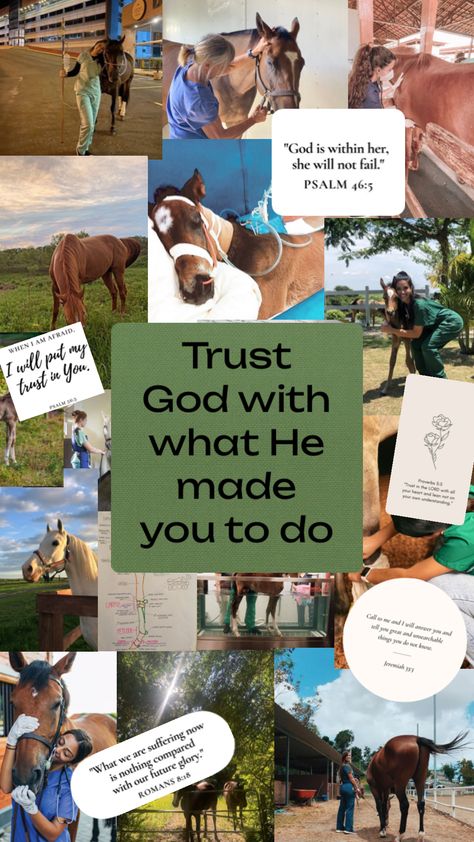 Equine Vet #horses#vet#equinevet#vetmed#veterinarian #veterinarymedicine#aesthetic#christian Equine Vet Tech, Vet Aesthetic, Vet School Motivation, Equine Vet, Equine Veterinarian, Vet Tech Student, Equine Veterinary, Horse Riding Aesthetic, Veterinary Assistant