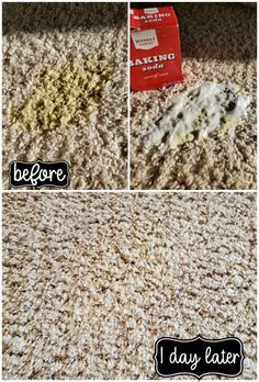 How to Remove Old and New Carpet Pet Stains Homemade Carpet Cleaner, Diy Carpet Stain Remover, Cleaning Carpet Stains, My Heavenly Recipes, Pee Stains, Remove Pet Stains, Diy Stain Remover, Heavenly Recipes, Stain Remover Carpet