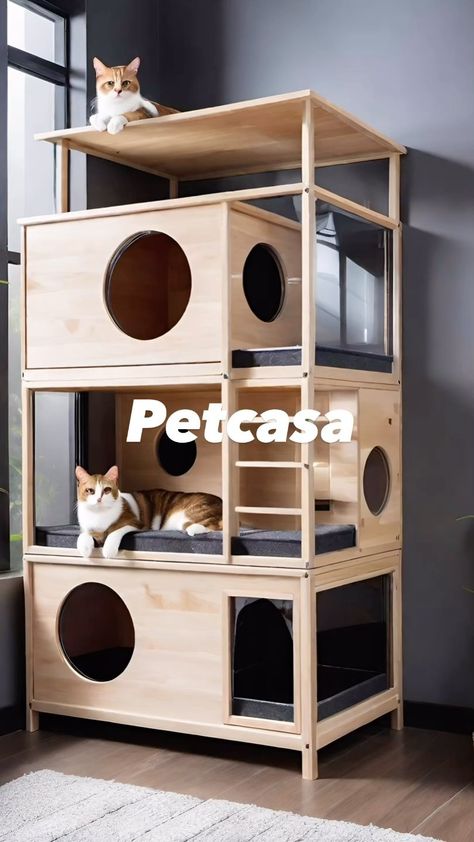 Instagram Wooden Cat House Indoor, Diy Cat House Ideas, Catios Ideas For Cats, Houses For Cats, Diy Cat House, Cat Climbing Wall, Cat Furniture Design, Wooden Cat House, Cat Patio