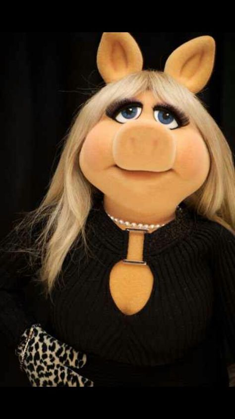 Piggy Muppets, Miss Piggy Muppets, Kermit And Miss Piggy, The Muppet Show, Miss Piggy, Entertainment Tonight, Curious Cat, Kermit The Frog, Jim Henson