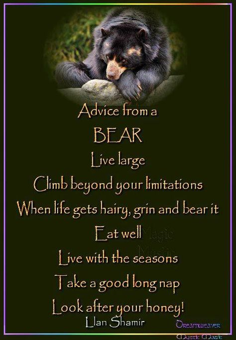 Advice from a BEAR Advice From A Bear, Cleansing Spells, Dragonfly Quotes, Boy Crafts, Bear Quotes, Wood Badge, Bear Quote, Tips To Be Happy, Animal Spirit Guides