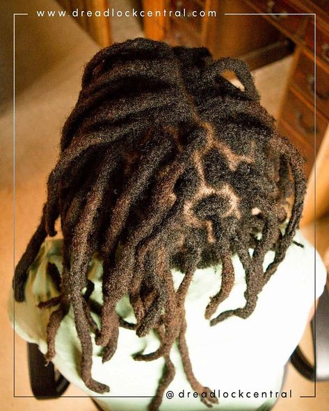 Crochet Dreadlocks | Pros and Cons and why it's the perfect method Afro Crochet, Dreadlock Crochet, Dreadlock Rasta, Dread Hairstyles For Men, Crochet Dreadlocks, Crochet Dreads, Crochet Men, Dreadlock Hairstyles For Men, Dreadlock Style