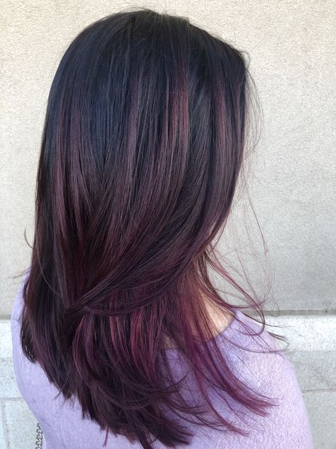 @avedamber Plum Hair Color Highlights, Plum Hair Highlights, Plum Hair Color, Cola Hair, Cherry Cola Hair, Hair Color Plum, Black Red Hair, Plum Hair, Color Streaks