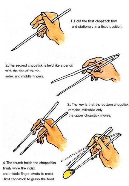 Eating with chopsticks How To Hold Chopsticks, Hold Chopsticks, How To Use Chopsticks, Using Chopsticks, Business Etiquette, Dining Etiquette, Table Manners, How To Shade, Forks And Spoons