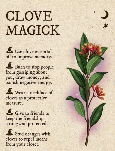 Herbal Witch, Witchcraft Spells For Beginners, Magickal Herbs, Witch Rituals, Witch Herbs, Magia Das Ervas, Witchcraft Spells, Green Witchcraft, Witch Spirituality