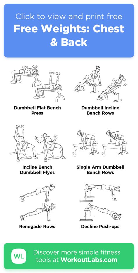 Free Workout: Free Weights: Chest & Back · WorkoutLabs Fit Chest Free Weight Workout, Chest Workout Free Weights, Weighted Chest Workout, Low Impact Chest Workout, Chest Workout Weights, Weight Lighting Workout, Back Workout Free Weights, Chest And Back Dumbbell Workout, Chest Dumbbell Workout Women