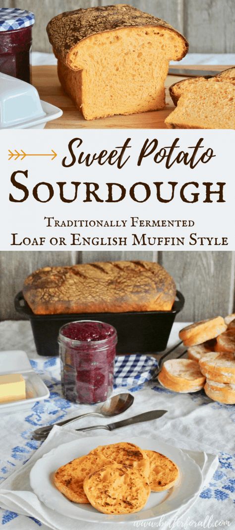 Potato Sourdough Bread, Sweet Potato Sourdough, Starter Sourdough, Sourdough Bread Sandwiches, Dough Starter, Sandwich Loaf, Organic Bread, Sourdough Starter Recipe, Cooking Sweet Potatoes