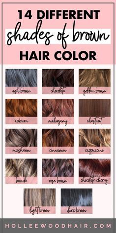 Everyone knows that brunettes do it better, right? But what's the difference between ash brown and mushroom brown hair color? What about brunette hair with highlights vs. multi-dimensional balayage? This shades of brown hair color chart will help you see the difference. These 14 different shades of brown hair dye will blow your mind... #brunette #brownhair #brownhaircolor #haircolor Brown Hair Olive Skin, Levels Of Hair Color, Different Shades Of Brown Hair, Types Of Brown Hair, Shades Of Brown Hair Color, Brunettes Do It Better, Mushroom Brown Hair Color, Shades Of Brown Hair, Hair Color Names