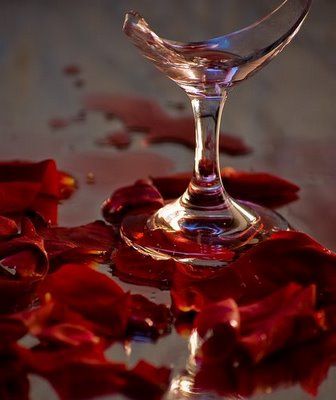 Red roses, spilled wine, broken glass. Spilled Red Wine Aesthetic Dark, Red Wine Spilled Aesthetic, Spilled Wine Aesthetic Dark, Spilled Red Wine Aesthetic, Shattered Wine Glass Aesthetic, Wine Glass Aesthetic Dark, Spilled Wine Aesthetic, Broken Glass Photography, Rose Wine Aesthetic