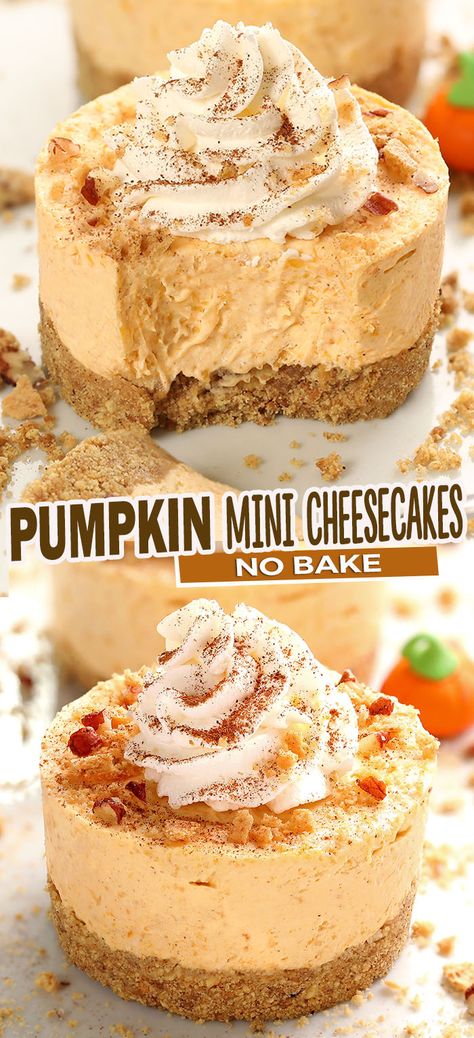 No Bake Desserts In A Cup, Pumpkin Pie Mini Cheesecakes, Mini No Bake Pumpkin Cheesecake, Non Bake Pumpkin Cheesecake, Fall No Bake Cheesecake, Thanksgiving Recipes Baking, Apple Butter Cheesecake No Bake, Mexican Food Recipes Easy Dessert, Dessert Night Ideas