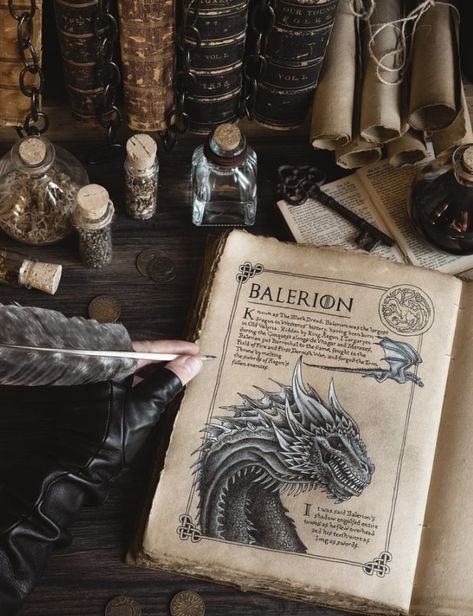 Dragonology Aesthetic, Dragon Core Aesthetic Room, Dragon School Aesthetic, Dragon Keeper Aesthetic, Dragon Core Aesthetic, Dragon Astethic, Dragon Rider Aesthetic, Dragon Academy, Dragon Core