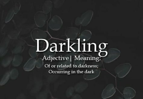 One Word Powerful Meaning, Words With Dark Meanings, Words Related To Art, Master Thesis, Unique Words Definitions, Uncommon Words, Fancy Words, One Word Quotes, Weird Words