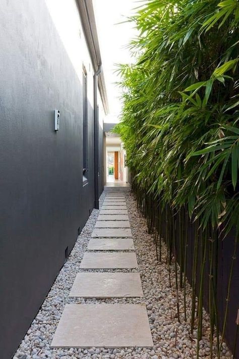 Narrow Walkway, Reka Bentuk Landskap, Stepping Stone Pathway, Bamboo Trees, Side Yard Landscaping, Walkways Paths, Side Yards, Garden Privacy, Desain Lanskap