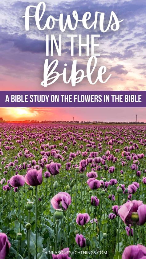 Garden Bible Study, Spring Bible Study, Biblical Flowers Tattoo, Flowers In The Bible, Biblical Flowers, Bible Plants, Biblical Plants, Christian Flowers, Flower Scripture