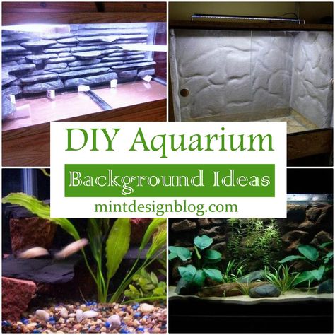 Fish Tank Background Diy, Fish Tank Background Ideas, Fish Tank Background Wallpapers, Aquarium Background Diy, Aquarium Background Ideas, Aquarium Decorations Diy, Diy Fish Tank Decorations, Diy Aquarium Background, Diy Aquarium Decor