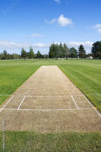 Stock Image: Cricket pitch Cricket Pitch Background, Cricket Ground Background Hd, Cricket Background For Editing, Cricket Stadium Background Hd, Cricket Background Images, Cricket Ground Background, Cricket Ground Background For Editing, Cricket Background, Ground Background